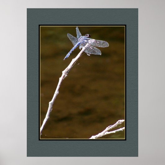 Silver Dragonfly Poster (Voorkant)