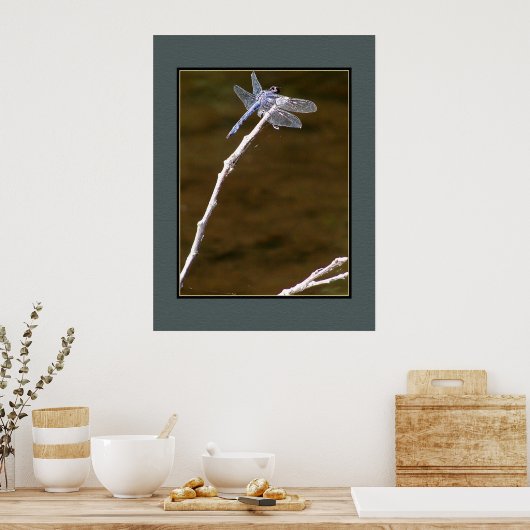Silver Dragonfly Poster (Keuken)