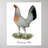 Silver Duckwing Game Hen Poster (Voorkant)