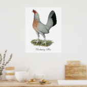 Silver Duckwing Game Hen Poster (Keuken)