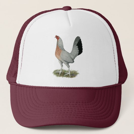 Silver Duckwing Game Hen Trucker Pet (Voorkant)
