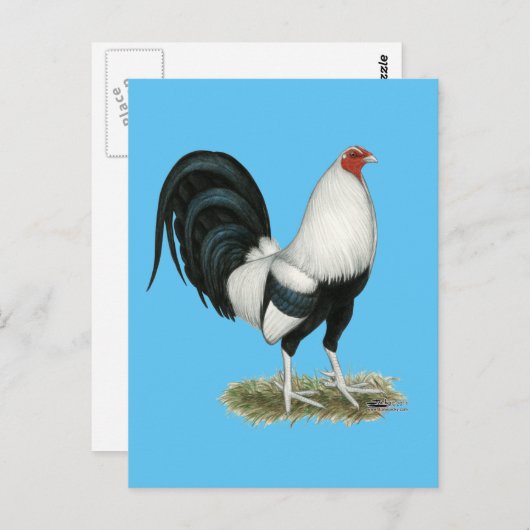 Silver Duckwing Gamecock Briefkaart (Voorkant / Achterkant)