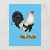 Silver Duckwing Gamecock Briefkaart (Voorkant)