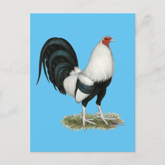 Silver Duckwing Gamecock Briefkaart (Voorkant)