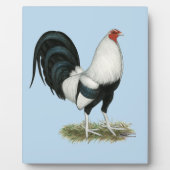 Silver Duckwing Gamecock Fotoplaat (Voorkant)