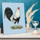 Silver Duckwing Gamecock Fotoplaat (Zijkant)