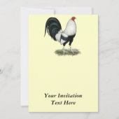Silver Duckwing Gamecock Kaart (Voorkant)