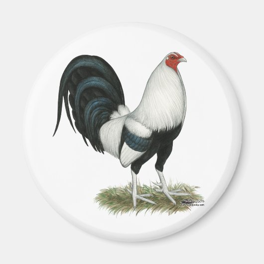 Silver Duckwing Gamecock Magneet (Voorkant)