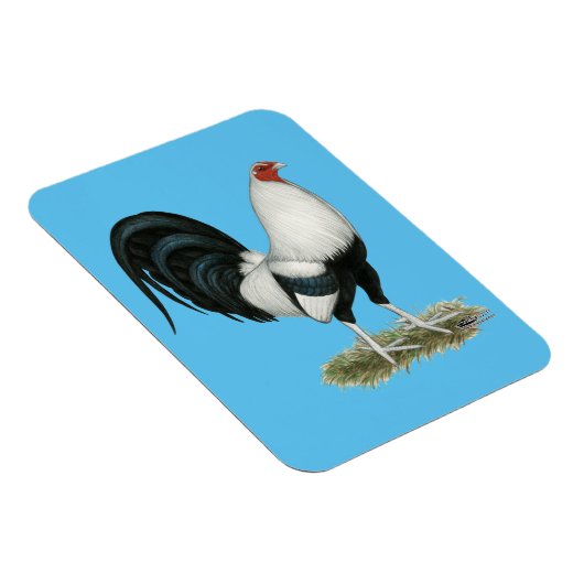 Silver Duckwing Gamecock Magneet (Rechterzijde)