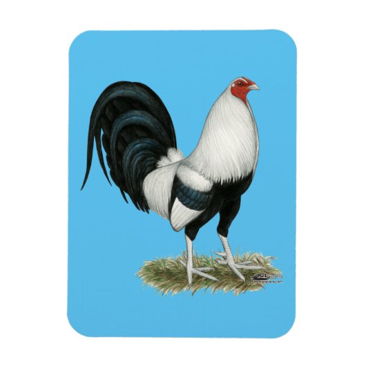 Silver Duckwing Gamecock Magneet (Verticaal)