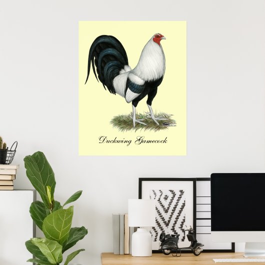 Silver Duckwing Gamecock Poster (Thuiskantoor)