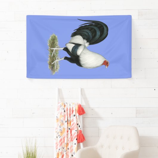 Silver Duckwing Gamecock Spandoek (Insitu)