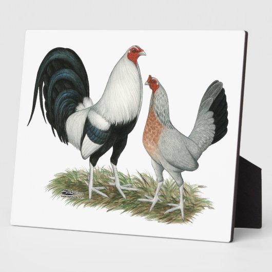 Silver Duckwing Gamefowl Fotoplaat (Zijkant)
