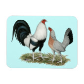 Silver Duckwing Gamefowl Magneet (Horizontaal)