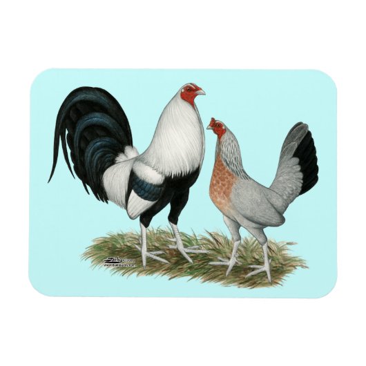 Silver Duckwing Gamefowl Magneet (Horizontaal)