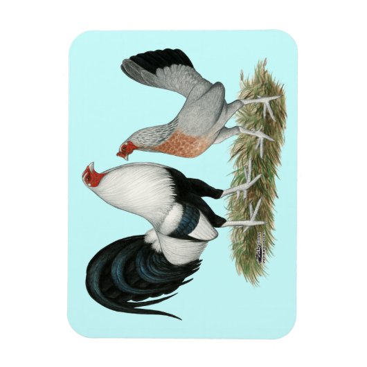 Silver Duckwing Gamefowl Magneet (Verticaal)