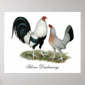 Silver Duckwing Gamefowl Poster (Voorkant)
