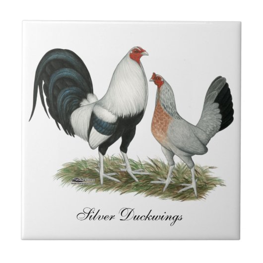 Silver Duckwing Gamefowl Tegeltje (Voorkant)