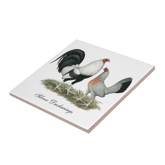 Silver Duckwing Gamefowl Tegeltje (Zijkant)