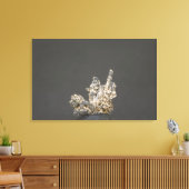 Silver, Duitsland Canvas Afdruk (Insitu (Woonkamer))