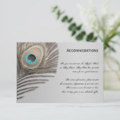 Silver Elegance Peacock-combinatiekaart Informatiekaartje (Staand voorkant)