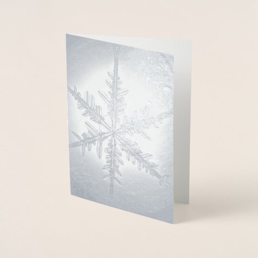 Silver Foil Fern Snowflake Card Folie Kaarten (Voorkant)