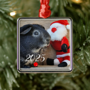 Silver Fox Guinee Pig met Santa Speelgoed Metalen Ornament