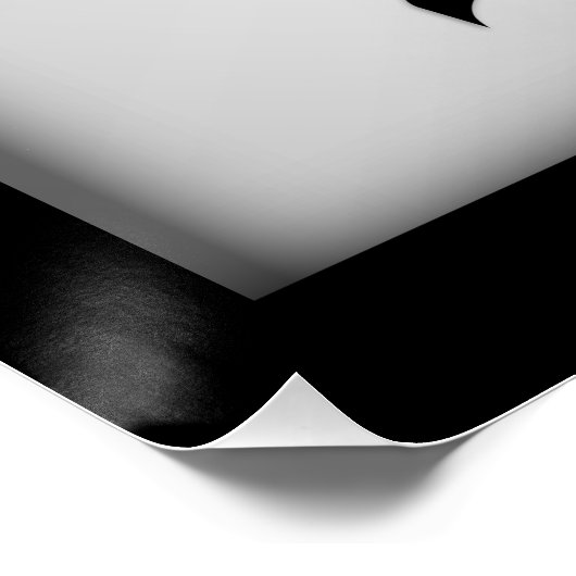 Silver Fox Poster (Hoek)