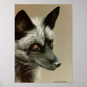 Silver Fox poster