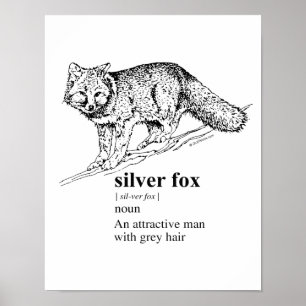 SILVER FOX - POSTER