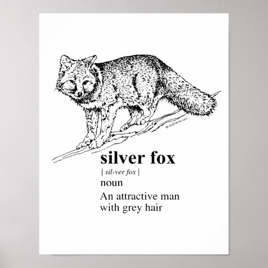 SILVER FOX - POSTER (Voorkant)
