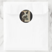 Silver Fox Ronde Sticker (Tas)