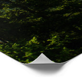 Silver Gate Montana Poster (Hoek)