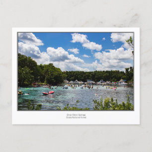 Silver Glenn Springs Briefkaart