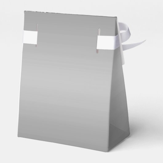 Silver Glitter Bat Mitzvah Bedankdoosjes (Achterkant)