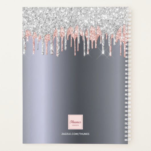 Silver glitter pink beauty Lounge appoints 2022 Planner (Achterkant)