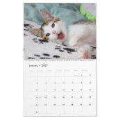 Silver Glitter Roos Gold Foil Monogram Foto Kalender (Jan 2027)