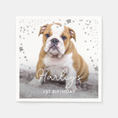 Silver Glitter Stars Aangepaste foto Pet Dog Birth Servet (Voorkant)