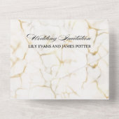 Silver & Gold Abstract Watercolor  Wedding  All In One Uitnodiging (Achterkant)