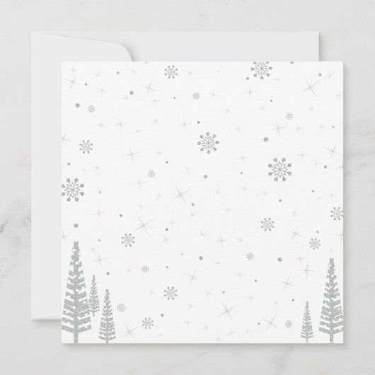 Silver, Green Winter Wonderland Boy Birthday Party Kaart (Achterkant)