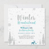 Silver, Green Winter Wonderland Boy Birthday Party Kaart (Voorkant)