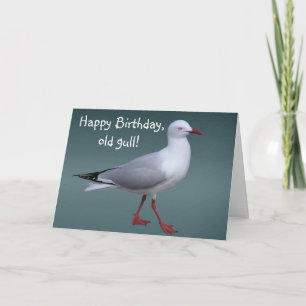Silver Gull-Kaart Kaart