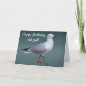 Silver Gull-Kaart Kaart (Voorkant)