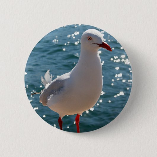 Silver Gull Ronde Button 5,7 Cm (Voorkant)
