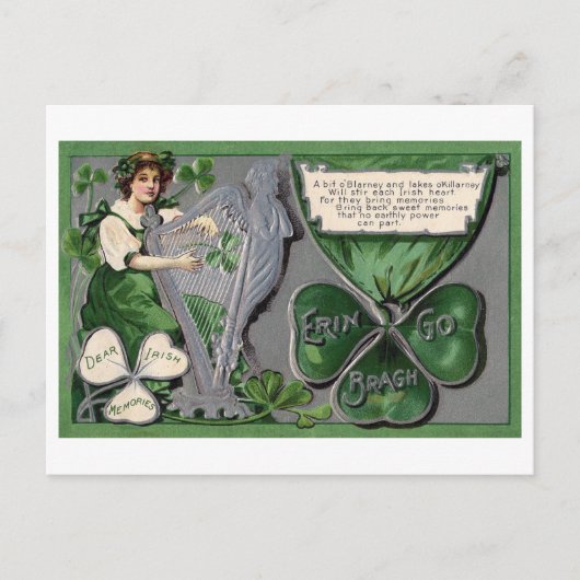 Silver Harp, Shamrock, St. Patrick's Day,  Briefkaart (Voorkant)