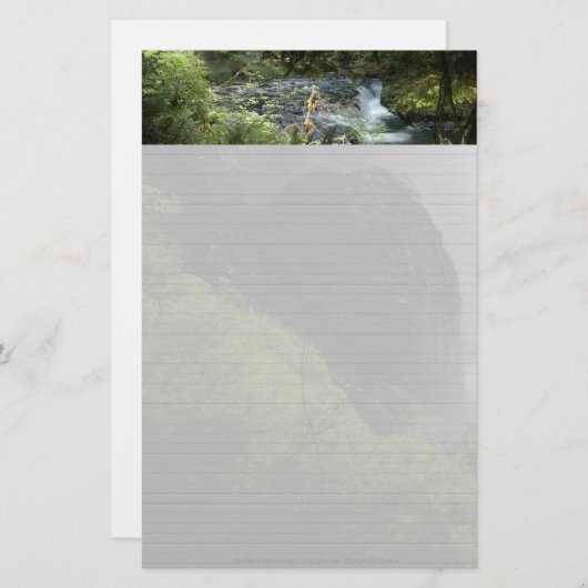 Silver Herfsten Opmerking: papier (Voorkant / Achterkant)