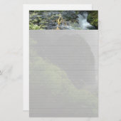 Silver Herfsten Opmerking: papier (Voorkant / Achterkant)