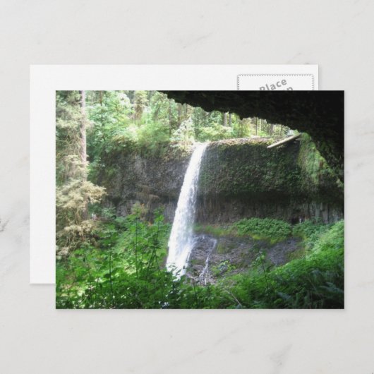 Silver Herfsten Park Briefkaart (Voorkant / Achterkant)