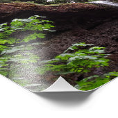 Silver Herfsten State Park Foto Afdruk (Hoek)