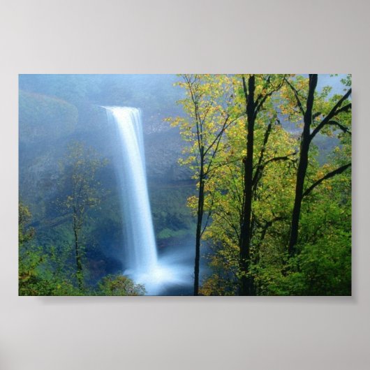 Silver Herfsten State Park, Oregon Poster (Voorkant)